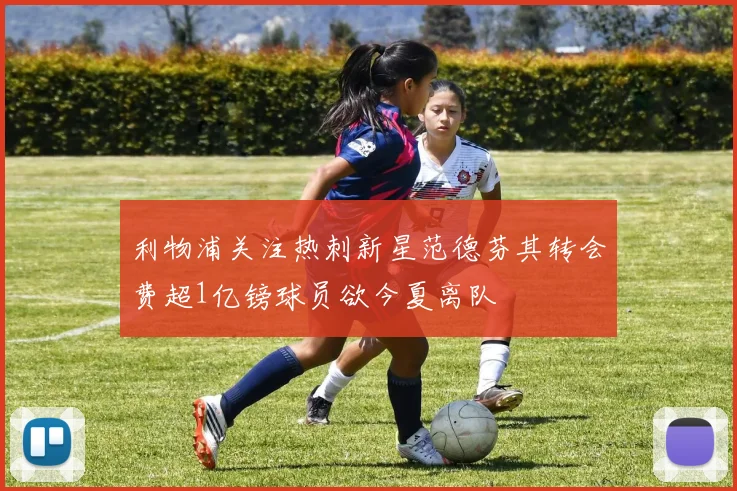 利物浦关注热刺新星范德芬其转会费超1亿镑球员欲今夏离队